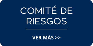 COMITÉ DE riesgos
